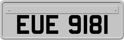 EUE9181