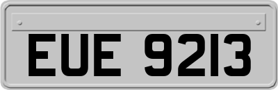 EUE9213