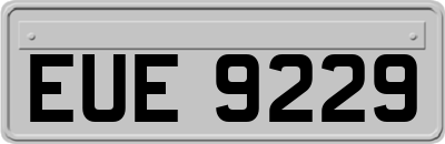 EUE9229