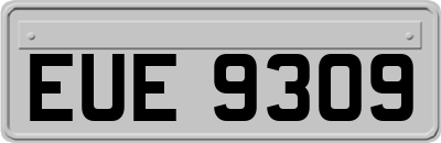 EUE9309