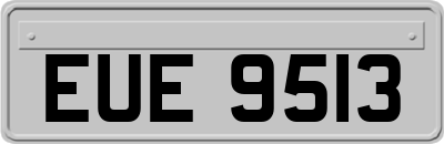 EUE9513