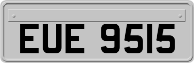 EUE9515