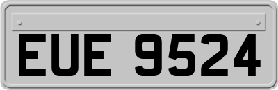 EUE9524