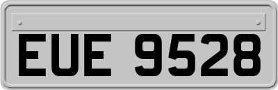 EUE9528