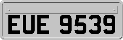 EUE9539