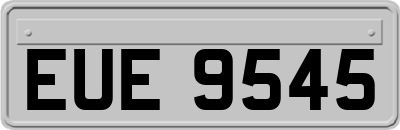 EUE9545