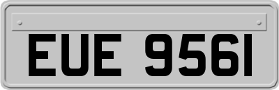 EUE9561