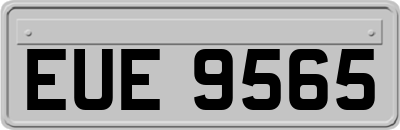 EUE9565