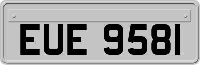 EUE9581