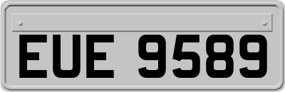 EUE9589