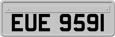 EUE9591