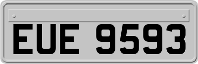 EUE9593