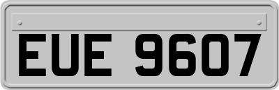 EUE9607