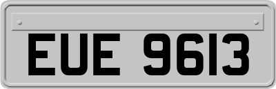 EUE9613