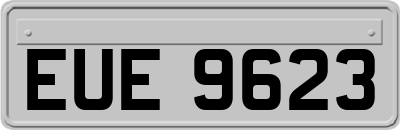 EUE9623
