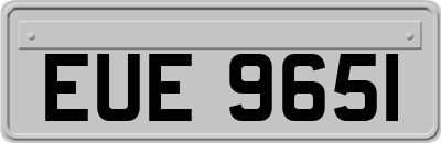 EUE9651