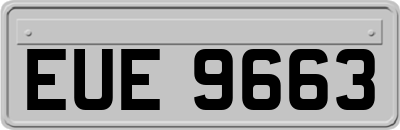 EUE9663