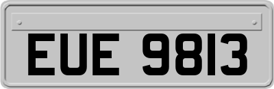 EUE9813
