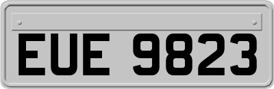 EUE9823