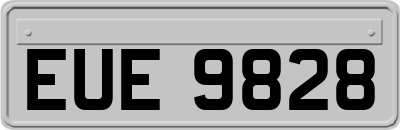 EUE9828