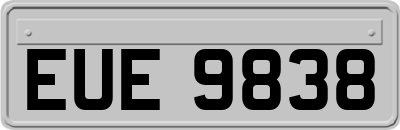 EUE9838