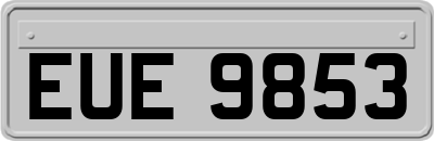 EUE9853