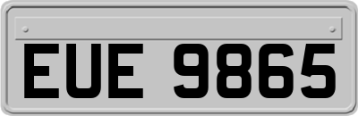 EUE9865