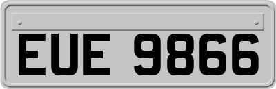 EUE9866