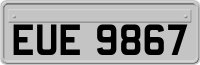 EUE9867
