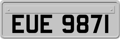 EUE9871