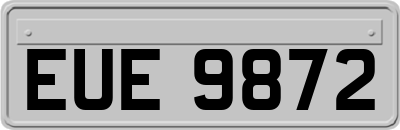 EUE9872