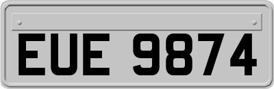 EUE9874