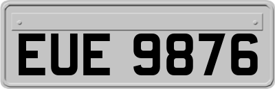 EUE9876