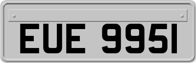 EUE9951