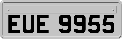 EUE9955