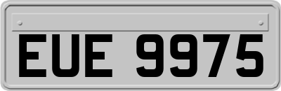 EUE9975