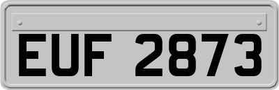 EUF2873