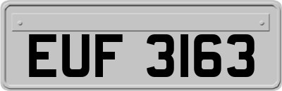 EUF3163