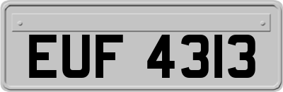 EUF4313