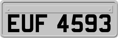 EUF4593