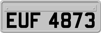 EUF4873