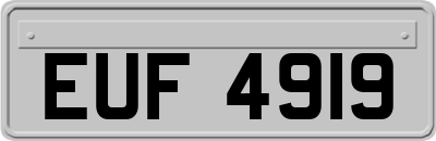EUF4919