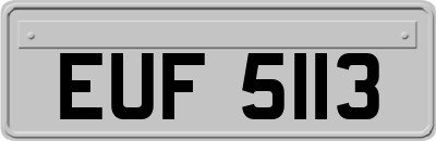EUF5113