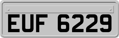 EUF6229