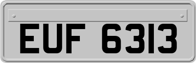 EUF6313