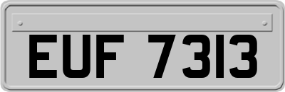 EUF7313