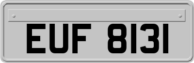 EUF8131