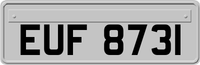 EUF8731