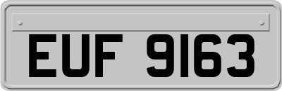 EUF9163