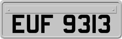 EUF9313